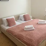 Horsky Domek alpejski Harrachov