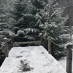 Domek alpejski Horsky Harrachov