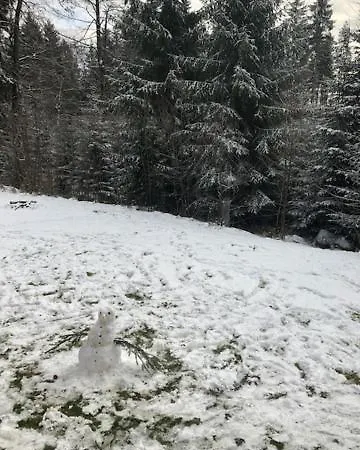 Horsky Chalet